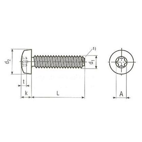 Din M R Killich šroub M3x6 A2 NEREZ půlkulatá hlava, TORX 10 samořezný DIN 7500 ...
